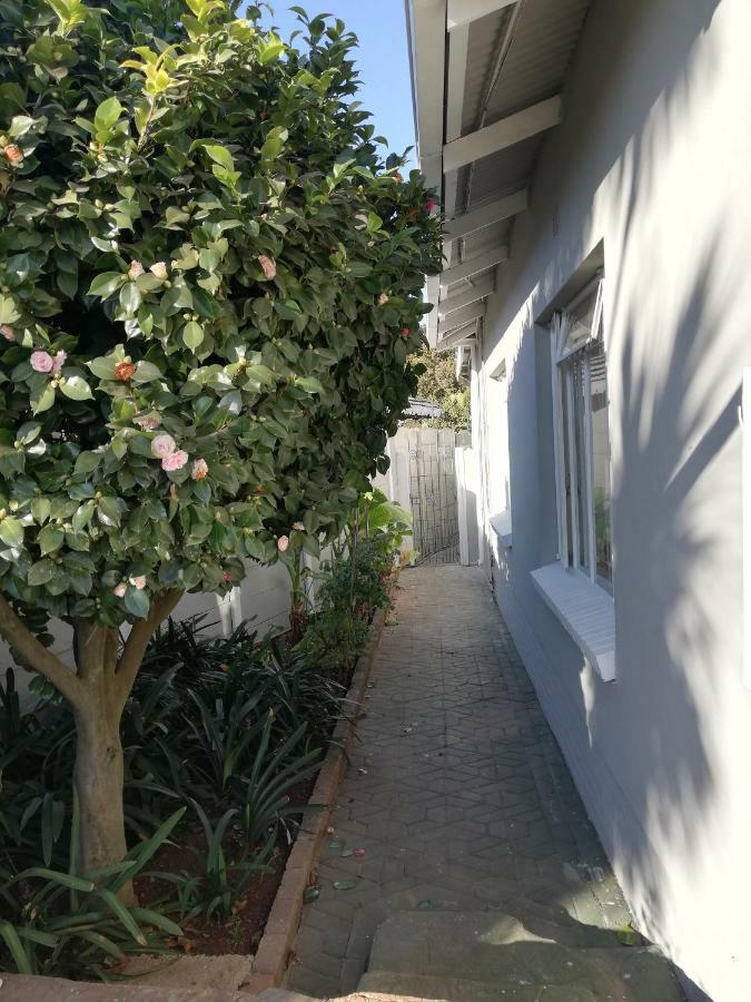Willow Guest House Boksburg Kültér fotó
